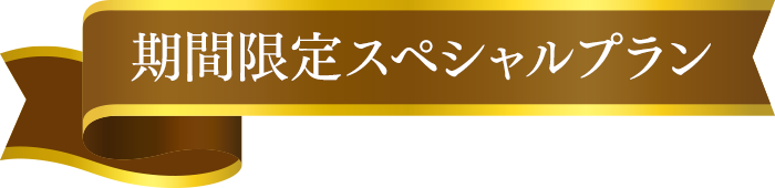 期間限定スペシャルプラン
